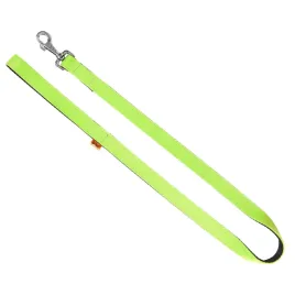 smycz-miejska-z-tasmy-dla-psa-energy-zielony-25-x-120-cm