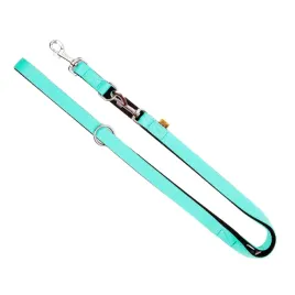smycz-przepinana-z-tasmy-dla-psa-energy-mietowy-25-x-220-cm