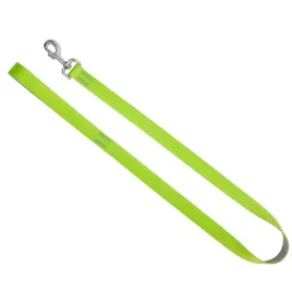 smycz-miejska-dla-psa-energy-silver-zielony-10-x-130-cm
