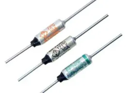 bezpiecznik-termiczny-216-c-10a-2szt
