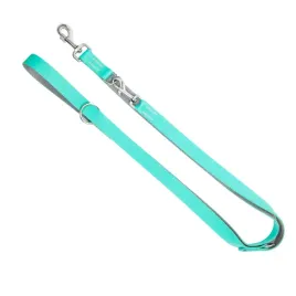 smycz-przepinana-dla-psa-energy-silver-mietowy-20-x-220-cm