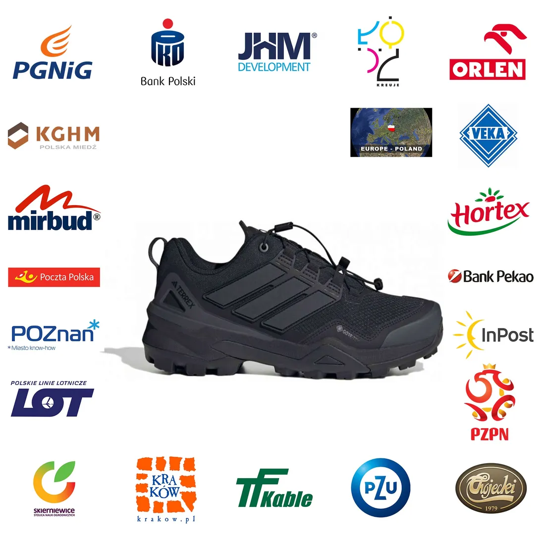 buty-adidas-terrex-skychaser-gtx