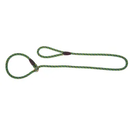 ringowka-smycz-ringowa-dla-psa-magic-niebiesko-zielony-o-12-x-170-cm