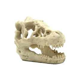 czaszka-dinozaura-reptile-nova