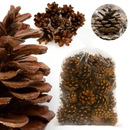 szyszki-naturalne-do-stroikow-choinek-piekne-do-dekoracji-szyszka-05kg