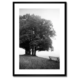 plakaty-w-ramie-50x70-pejzaz-w-szarosci-bw