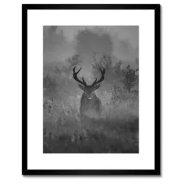 plakaty-w-ramie-40x50-jelen-we-mgle