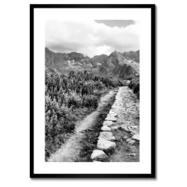 plakaty-w-ramie-50x70-tatry-polskie-gory-widok