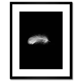 plakaty-w-ramie-40x50-delikatne-piorko-puszek