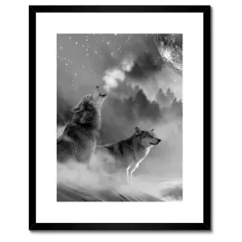 plakaty-w-ramie-40x50-wilk-wyjacy-do-ksiezyca