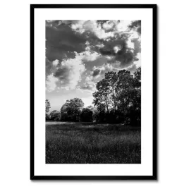 plakaty-w-ramie-50x70-wiejski-krajobraz-laki