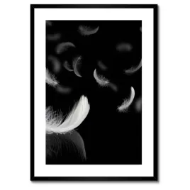 plakaty-w-ramie-50x70-spadajace-biale-piora