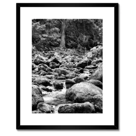 plakaty-w-ramie-40x50-tatry-polskie-gory-widok