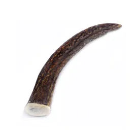 psi-smak-poroze-jelenia-hard-xxl-19-23cm-85-111g-1szt