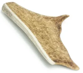 psi-smak-poroze-daniela-hard-l-16-19cm-75-95g-1szt