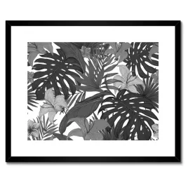 plakaty-w-ramie-50x40-monstera