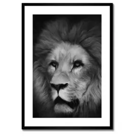 plakaty-w-ramie-50x70-lew-krol-zwierzat