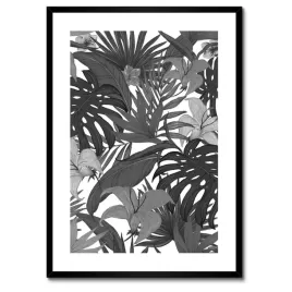 plakaty-w-ramie-50x70-monstera