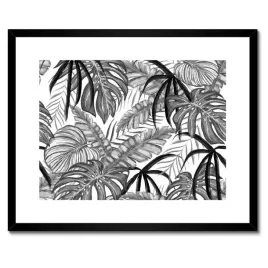 plakaty-w-ramie-50x40-monstera-zielony-lisc
