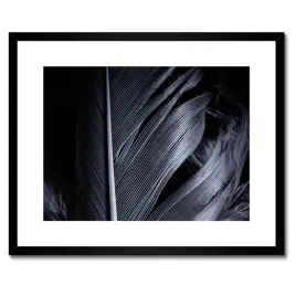 plakaty-w-ramie-50x40-czarne-pioro-w-zblizeniu