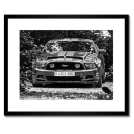 plakaty-w-ramie-50x40-ford-mustang