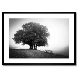 plakaty-w-ramie-70x50-pejzaz-w-szarosci-bw