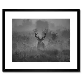 plakaty-w-ramie-50x40-jelen-we-mgle