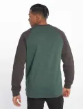 raglan-green-stan-nowy