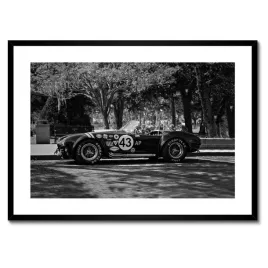 plakaty-w-ramie-70x50-shelby
