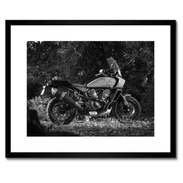 plakaty-w-ramie-50x40-harley-davidson-motocykl