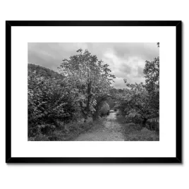 plakaty-w-ramie-50x40-jesienny-pejzaz