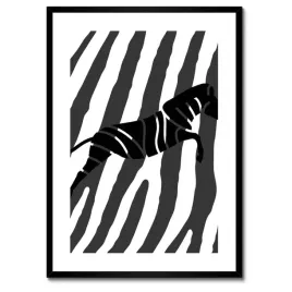 plakaty-w-ramie-50x70-zebra-paski