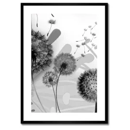 plakaty-w-ramie-50x70-dmuchawce-bandw