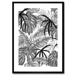 plakaty-w-ramie-50x70-monstera-zielony-lisc