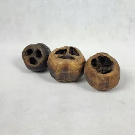 talami-duze-susz-3-szt-zestaw-do-kompozycji-kwiat