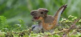 dinozaur-raptor-eugy-eko-ukladanka-3d-junior-material-karton
