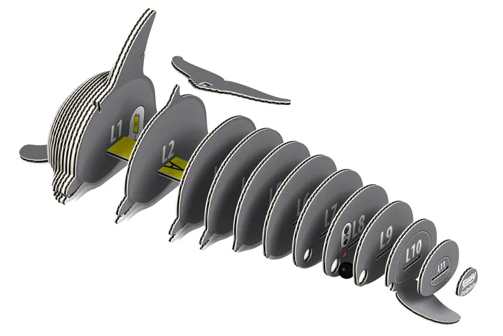 delfin-puzzle-ukladanka-przestrzenna-3d-model-eugy-certyfikaty-opinie-atesty-ce-en-71