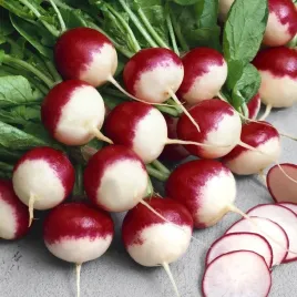 nasiona-rzodkiewka-krakowianka-do-ogrodu-i-tunelu-premium-seeds-300-szt