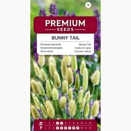 nasiona-dmuszek-jajowaty-ozdobna-trawa-ogrodowa-do-rabat-premium-seeds-02g