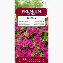 nasiona-petunia-zwisajaca-rubina-na-balkon-i-rabaty-premium-seeds-001-g