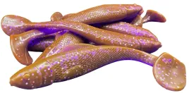 relax-guma-ripper-ohio-5-na-sandacza-125cm-1szt