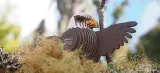 model-eugy-ukladanka-przestrzenna-puzzle-3d-orzel-certyfikaty-opinie-atesty-ce-en-71