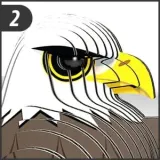 model-eugy-ukladanka-przestrzenna-puzzle-3d-orzel-stan-nowy-material-papier