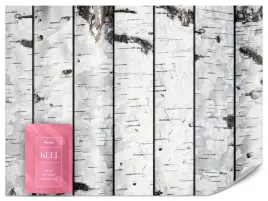 fototapeta-do-salonu-jadalni-kora-brzozy-drzewa-natura-las-efekt-3d-450x315