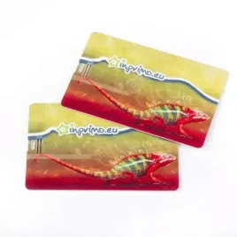 pendrive-karta-kredytowa-32gb-reklamowy-logo-10szt