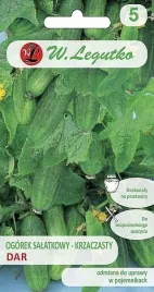 ogorek-dar-5g-idealny-do-kiszenia-nasiona-legutko