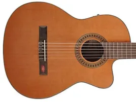 gitara-elektro-klasyczna-salvador-cortez-cc-10ce
