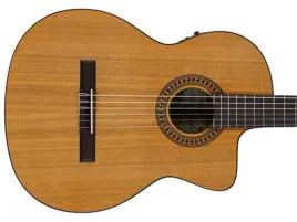 gitara-elektro-klasyczna-salvador-cortez-cc-2248ce