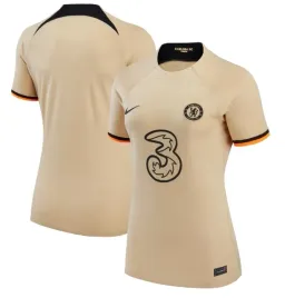 damska-koszulka-nike-chelsea-fc-third-stadium-2022-23-slim-fit-dn2729-253-l