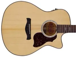 gitara-elektro-akustyczna-richwood-rg-27-ce-nt